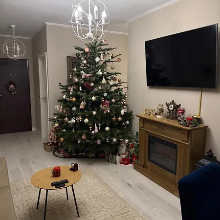 Panoramic 公寓 布拉索夫