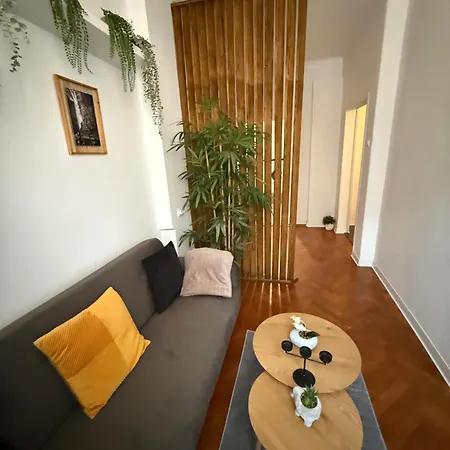 Panoramic * 布拉索夫