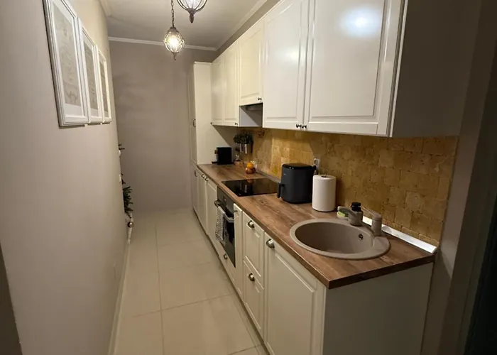 Panoramic בראשוב